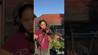 Sweet But Psycho Live Looping Electric Violin