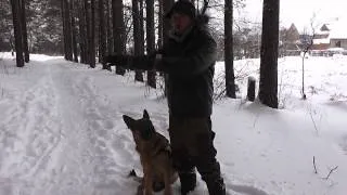 я и мой хвост. наказание собак. обряд подчинения собак.