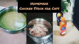 Homemade Chicken stock for Cats|How to make chicken stock|