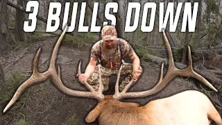 Wyoming Public Land Elk Hunt (3 bulls down!)