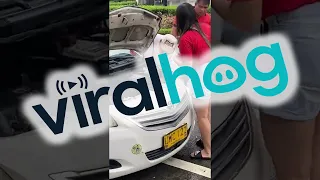 Lady Helps Rescue a Kitten Stuck in Taxi and Adopts it || ViralHog