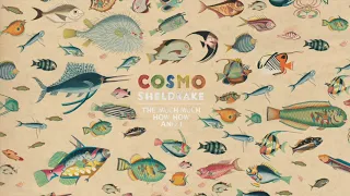 Cosmo Sheldrake - Egg and Soldiers (Instrumental)