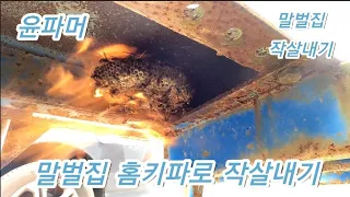 말벌집 살충제로 작살내기