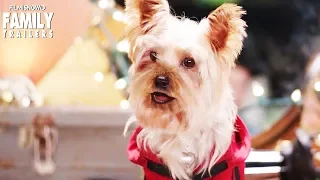 Pup Star: Better 2Gether | New Trailer for heart-warming family movie