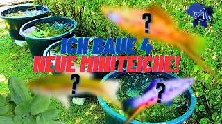 Ich baue 4 neue MINITEICHE ! I TAX