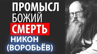 В преддверии Вечности. Промысл Божий о Каждом человеке! Никон (Воробьев)