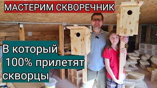 Мастерим скворечник, в который 100% прилетят скворцы. Подробная инструкция как сделать скворечник