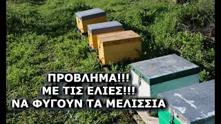 Μετακίνηση μελισσιών επί τόπου χειμωνιάτικα?? Πρόβλημα