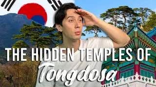 $2 Day Trip from Busan to the MOST ICONIC Temple in Korea - Tongdosa 통도사
