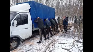 Оперативники Донеччини викрили групу «чорних» лісорубів, які знищили ліс на півтора мільйона гривень