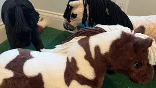 Day in the life with the ponies! | LeMieux Toy Ponies