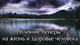 Влияние Венеры на Судьбу человека.