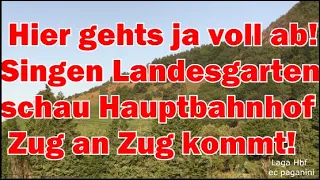 Hier geht es ja voll ab! "Singen Landesgartenschau Hauptbahnhof"- Zug an Zug kommt durch!