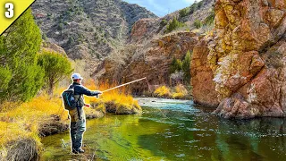 The Most Unique Trout Water I've Ever Fished!! (Desert Trout) || Fly Fishing Colorado Pt 3