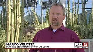 Las Vegas to plant 60K trees to combat urban heat island effect