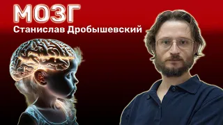 Мозг 🧠 Станислав Дробышевский