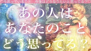 あの人はあなたのことをどう思ってる？🧸💭🧸💓タロット💫オラクルカードリーディング🔮