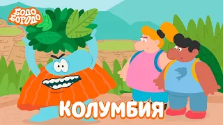 Колумбия - Бодо Бородо | ПРЕМЬЕРА | мультфильмы для детей 0+