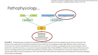 Ineffective esophageal motility (IEM) and its management