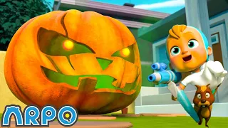 Night of the Living Pumpkin | Baby Daniel and ARPO The Robot | Funny Cartoons for Kids