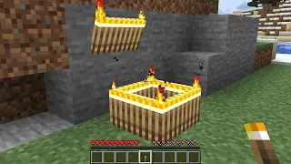 illegal torch in minecraft