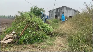 Clean up the abandoned house of the deceased | Cut overgrown weeds for free