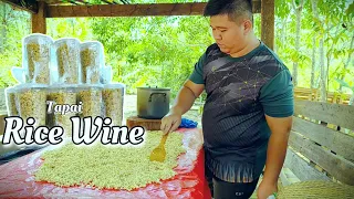 Rice Wine(Tapai): Making Sabahan Rice Wine(Tapai) at Home