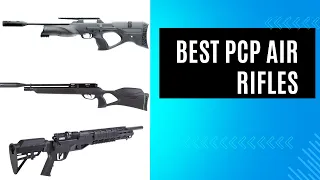 6 Best PCP Air Rifles 2024