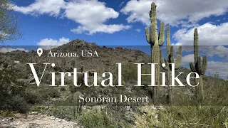 Arizona Sonoran Desert - Arizona, USA - Virtual Hike (with music)
