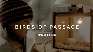 BIRDS OF PASSAGE Trailer | TIFF Kids