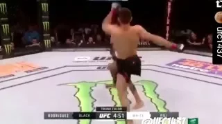 Yair Rodriguez highlights vs Andre Fili