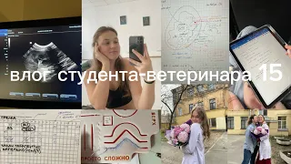 влог студента-ветеринара #15