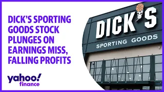 Dick's Sporting Goods stock plunges on earnings miss, falling profits