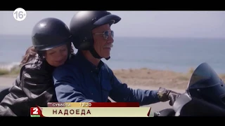 Надоеда