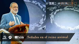 El Reloj De Dios - Señales en el reino animal - Episodio 14- Domingo 04 de Dic 2022