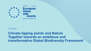 Climate tipping points and Nature   Together towards an ambitious and transformative Global Bio...