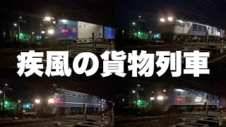 【貨物列車】疾風の貨物列車 全29本　2週連続初撮影地の岩渕踏切　スーパーライナー大集合！深夜に轟く大迫力のジョイント音　Freight train of great power