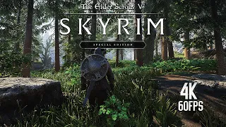 Skyrim Remastered in 2024 Ultra Modded Gameplay 4K 60FPS