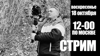 Стрим №15. Поговорим о новинках этой недели: Nikon Z6 II, Fujifilm X-S10, Panasonic BGH1 и прочее.