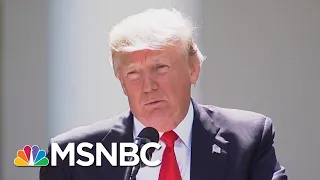 See The Climate Report That Shreds Donald Trump’s Science Denials | The Beat With Ari Melber | MSNBC