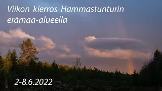 Viikon kierros Hammastunturin erämaassa ennen hyttysiä 2022