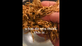 Dried vegetables / Interesting Japanese food /切り干し大根 #short#japanesefood @tonyplissken4222