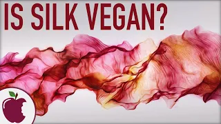 Is Silk Vegan? How Is Silk Made?