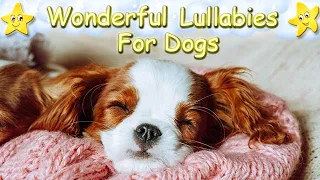 Relaxing Sleep Music For Dogs And Puppies ♫ Calm Your Dog Effectively In No Time