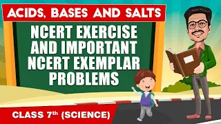 Acids, Bases and Salts in 1 Shot - NCERT Exemplar Practice Questions  || Class 7th Science