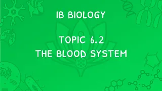 IB Biology Topic 6.2: The Blood System