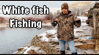 Whitefish Fishing Tips & Techniques !!!