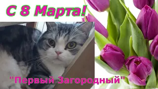 Поздравляю всех женщин с праздником 8 Марта! Будьте здоровы!