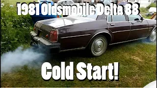 1981 Oldsmobile Delta 88 Cold Start