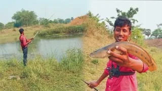 fish fishing in India marel catching snakehead fishing